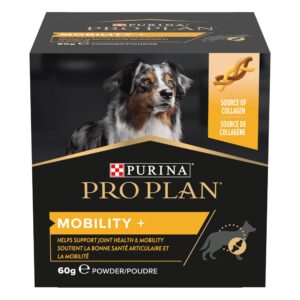 Mobility + chien poudre