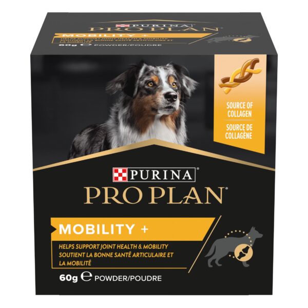 Mobility + chien poudre Mobility + chien poudre