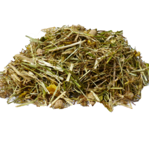HORSE UP CARE FIBRE