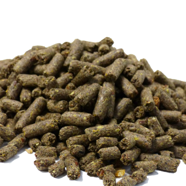 HORSE UP LINEX OMEGA 3 HORSE UP LINEX OMEGA 3