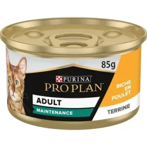 Adult MAINTENANCE, Terrine pour Chat, Riche en Poulet 24*85g