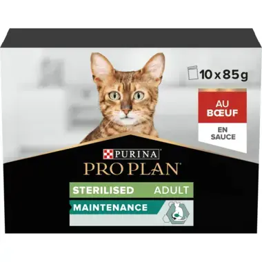Adult STERILISEDMAINTENANCE Sauce bœuf