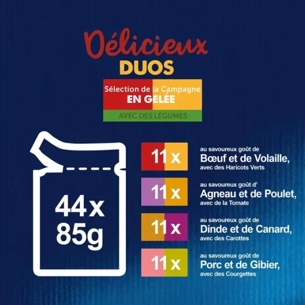 2- RECETTES 07613287333407_PATEE CHAT FELIX TENDRE EFFLILES CAMPAGNE MAXI_44081349.jpg Félix Effilés en Gelée 44x85gr