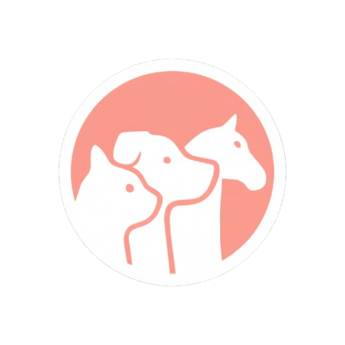 lecapitaine-croquettes.fr