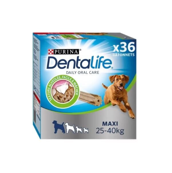 dentalife maxi DENTALIFE MAXI Carton 36 Bâtonnets - 019936